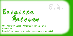 brigitta molcsan business card